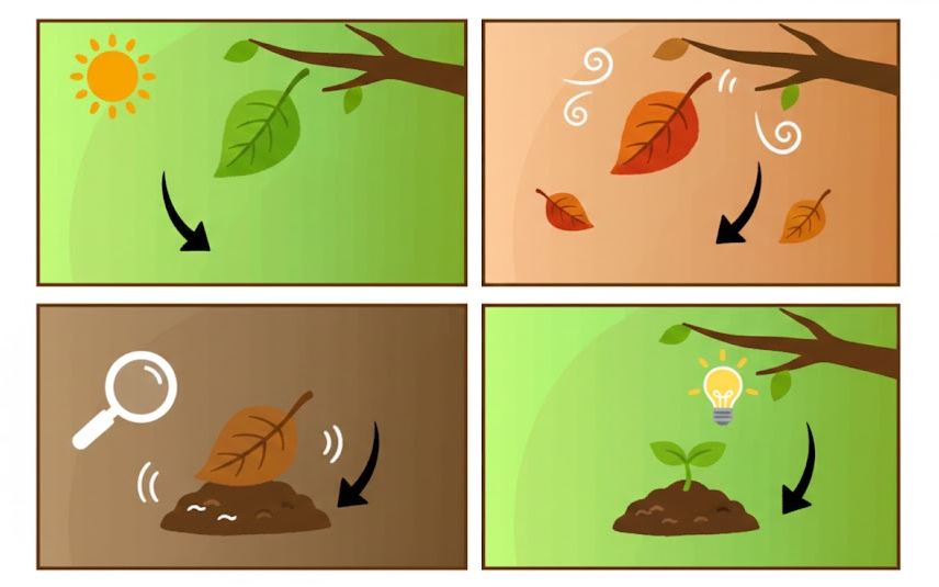 Viaje de una hoja: del árbol al suelo y a la vida de nuevo